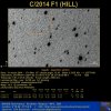New Comet C/2014 F1 (HILL)